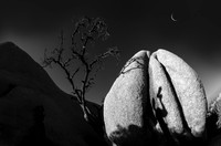 _ADS1737-C-BW