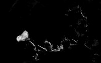 DSC04256-C-BW